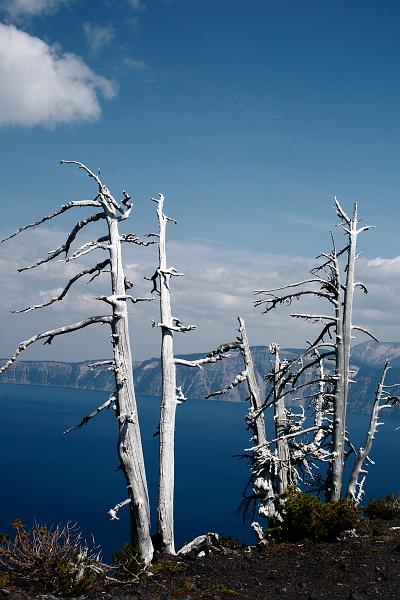 oreg3909.JPG - Wizard Island - volcano peak