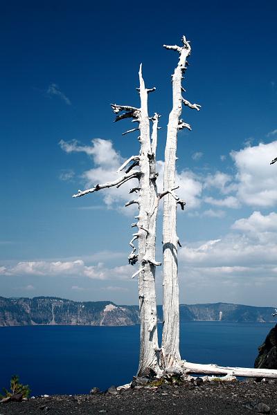oreg3910.JPG - Wizard Island - volcano peak