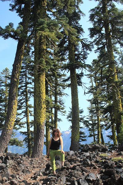 oreg3918.JPG - Wizard Island on the Crater Lake
