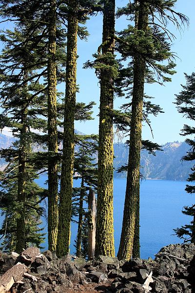oreg3920.JPG - View from the Wizard Island on the Crater Lake