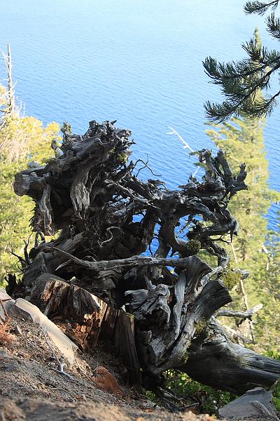 oreg3931.JPG - Crater Lake
