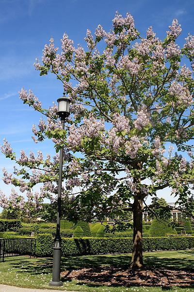 phil0737.JPG - Longwood Gardens (du Pont gardens)