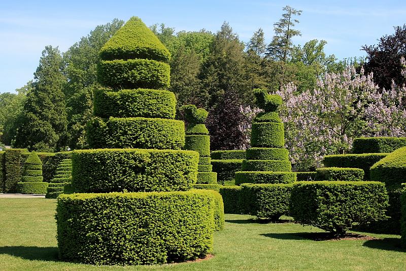 phil0738.JPG - Longwood Gardens - Topiary Garden