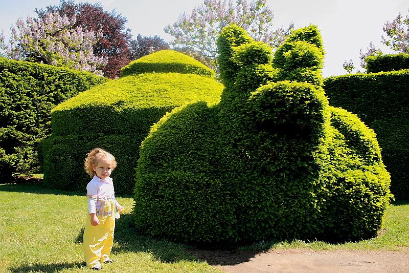 phil0740.JPG - Longwood Gardens - Topiary Garden