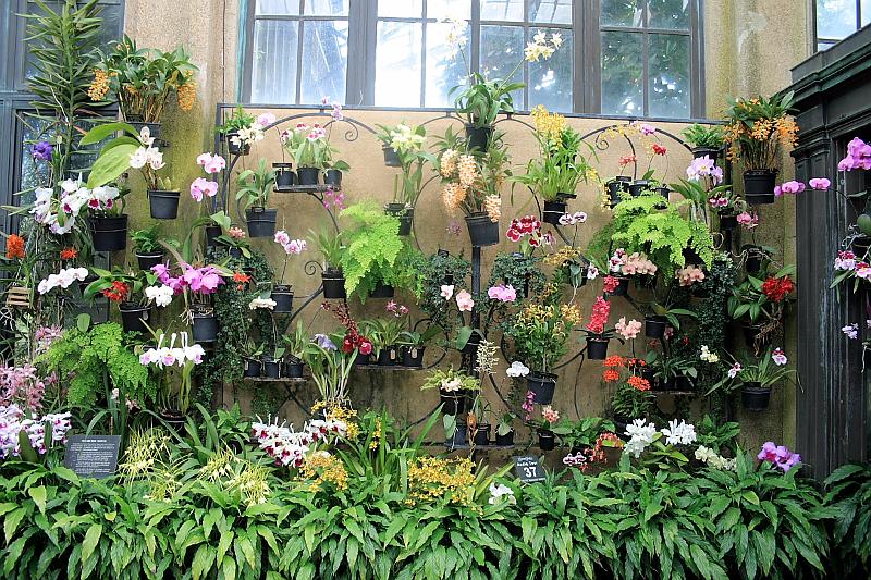 phil0752.JPG - Longwood gardens - The Conservatory