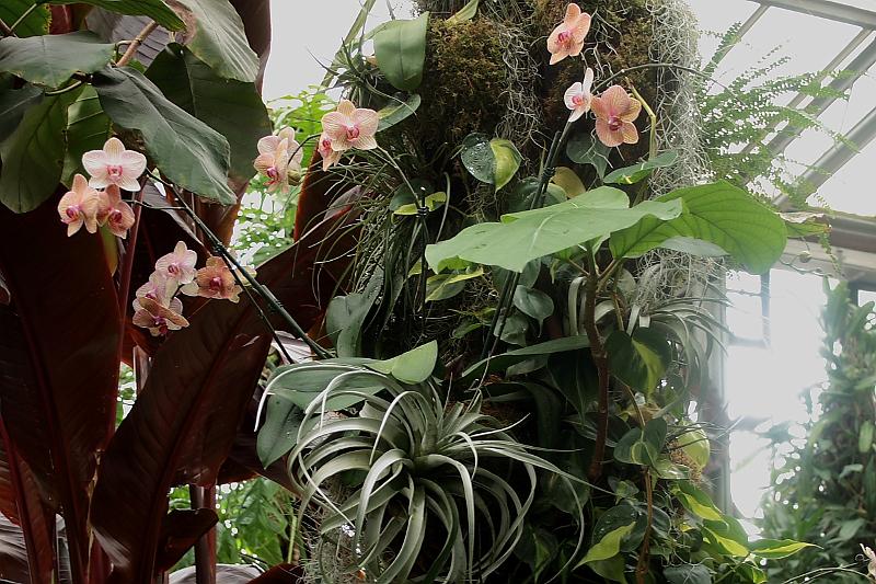 phil0756.JPG - Longwood gardens - The Conservatory