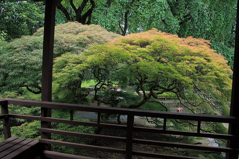 phil0796.JPG - Longwood gardens