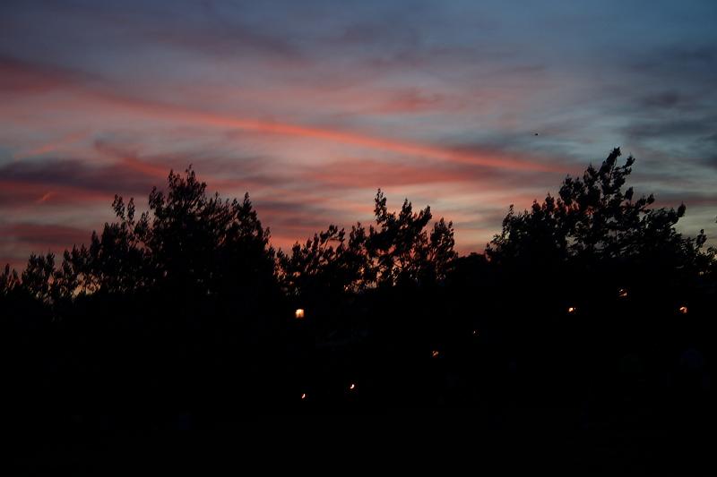 phil0864.JPG - Evening in the Longwood gardens