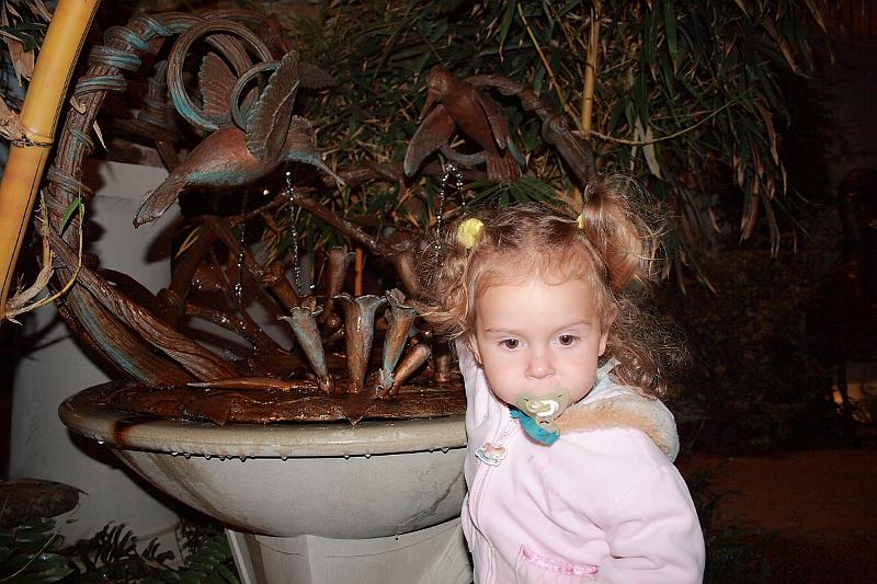 phil0868.JPG - Evening in the Longwood gardens - The Conservatory