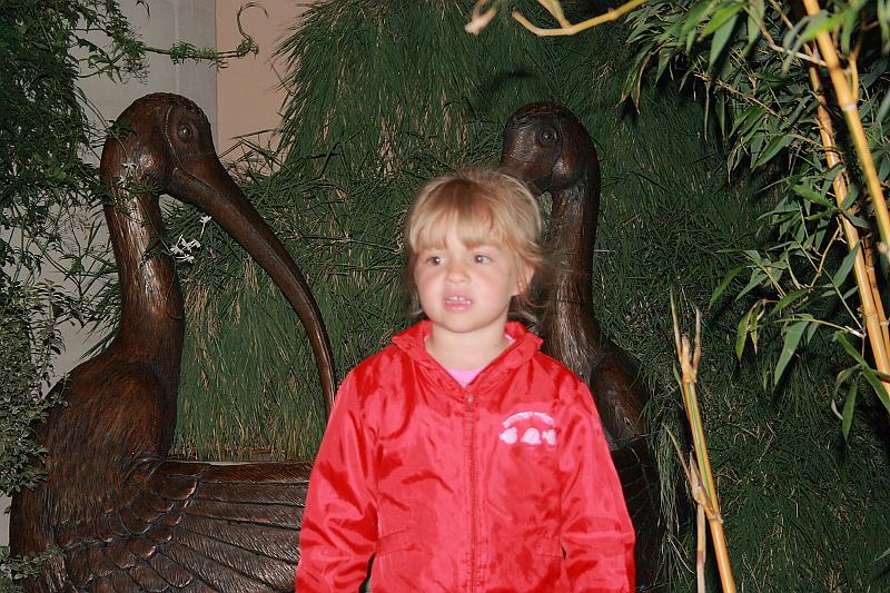 phil0869.JPG - Evening in the Longwood gardens - The Conservatory