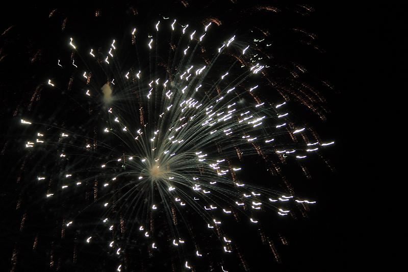 phil0900.JPG - Fireworks in the Longwood gardens