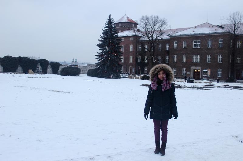 poland045.JPG - Wawel Royal Castle in Krakow