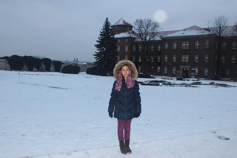 poland046.JPG - Wawel Royal Castle in Krakow