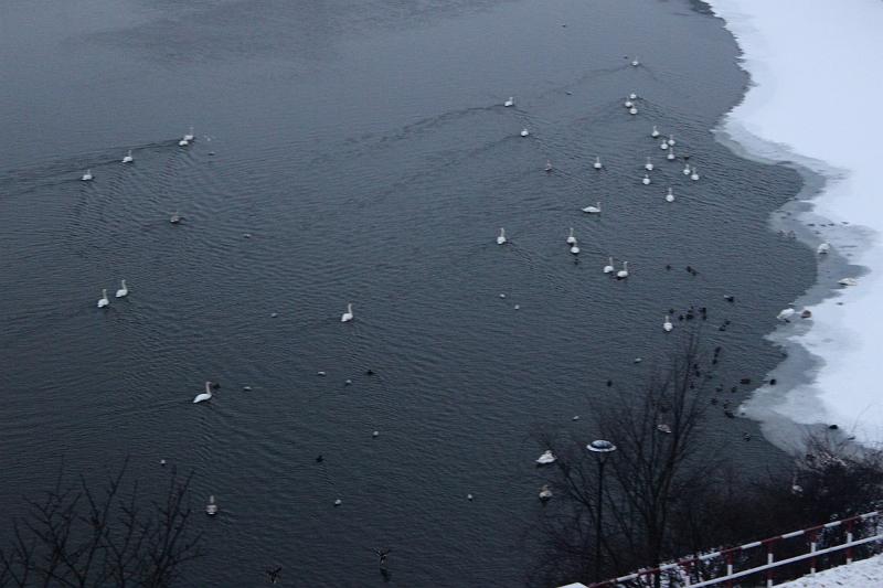 poland050.JPG - Vistula river
