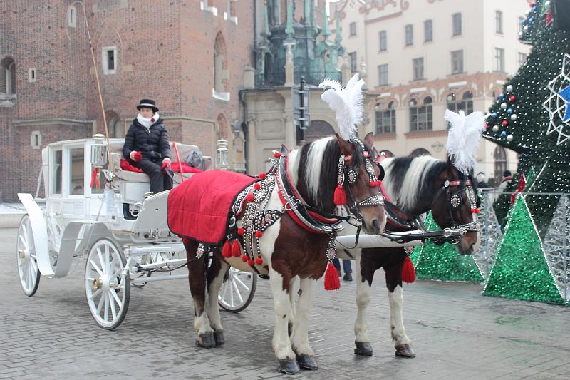 poland090.JPG - Krakow's main square