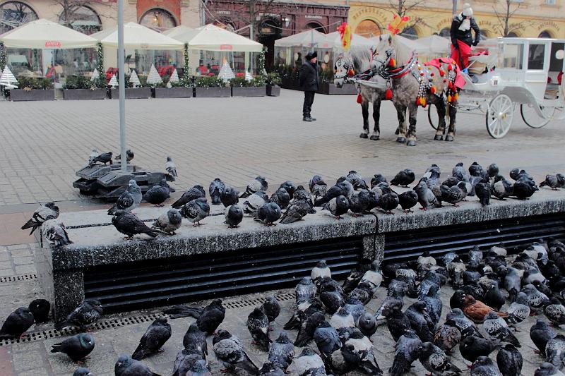 poland093.JPG - Krakow's main square