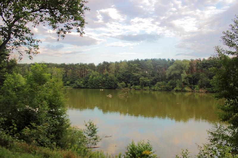 poland113.JPG - Poznan New Zoo 