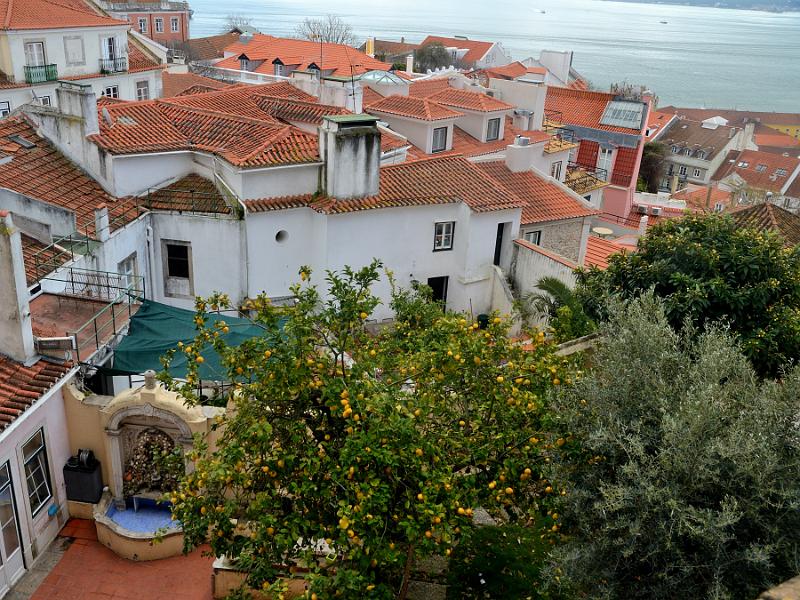 portugal019.jpg - View on the red roofs and backyards from St. George Castle 