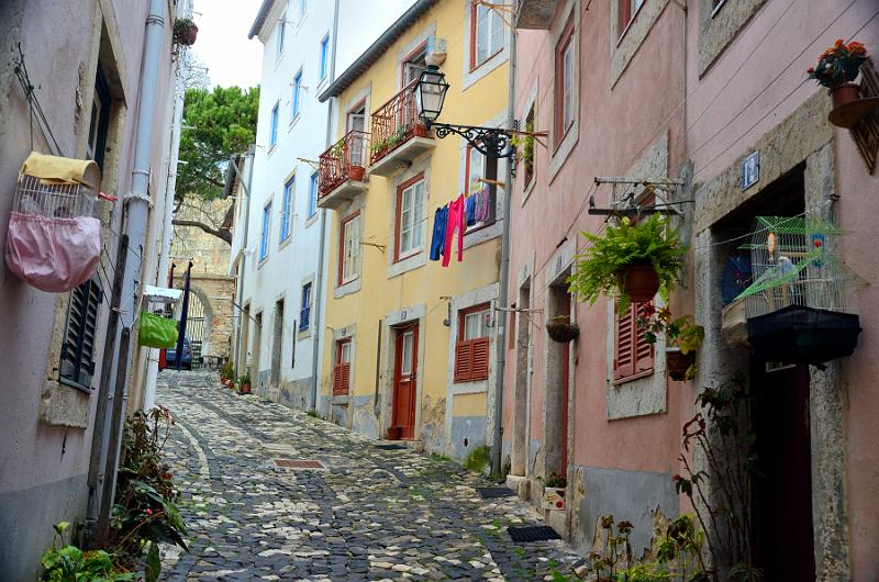 portugal032.jpg - Bird cages in a street in Alfama