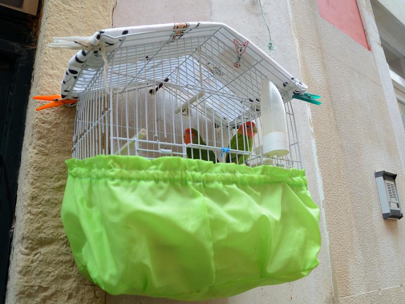 portugal033.jpg - Bird cages in a street in Alfama