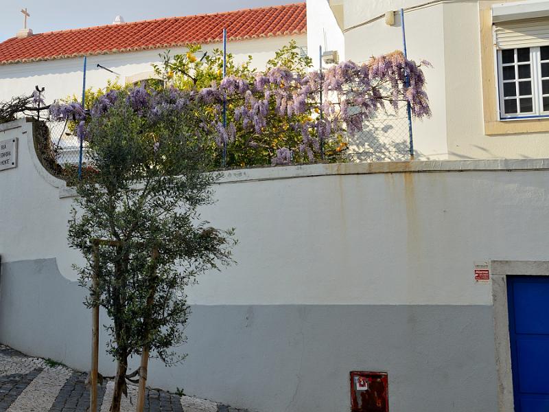 portugal044.jpg - A house wall in Graca