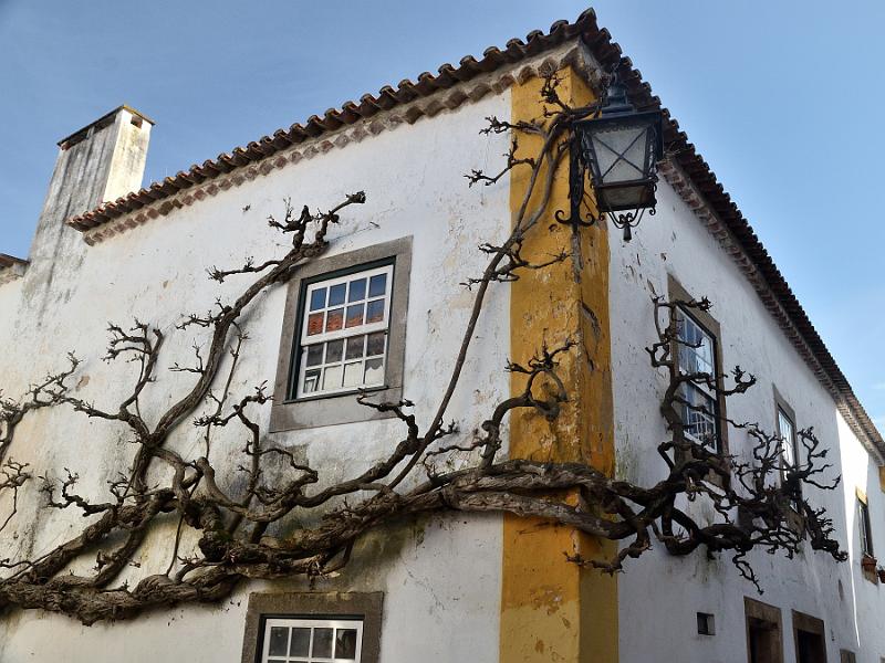 portugal114.jpg - A house in Obidos