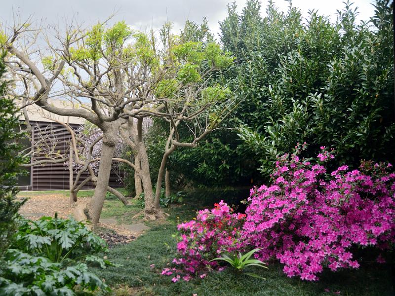 portugal151.jpg - An inner yard in the Gulbenkian Museum