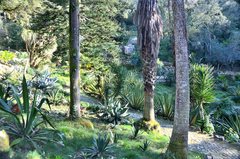 portugal214.jpg - Gardens in Monserrate Palace in Sintra