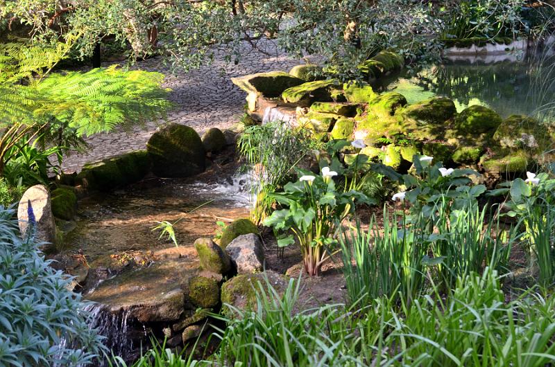 portugal215.jpg - Gardens in Monserrate Palace in Sintra