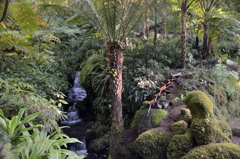 portugal216.jpg - Gardens in Monserrate Palace in Sintra