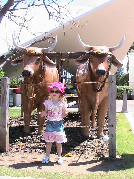 IMG_0515.jpg - Casa Bacardi