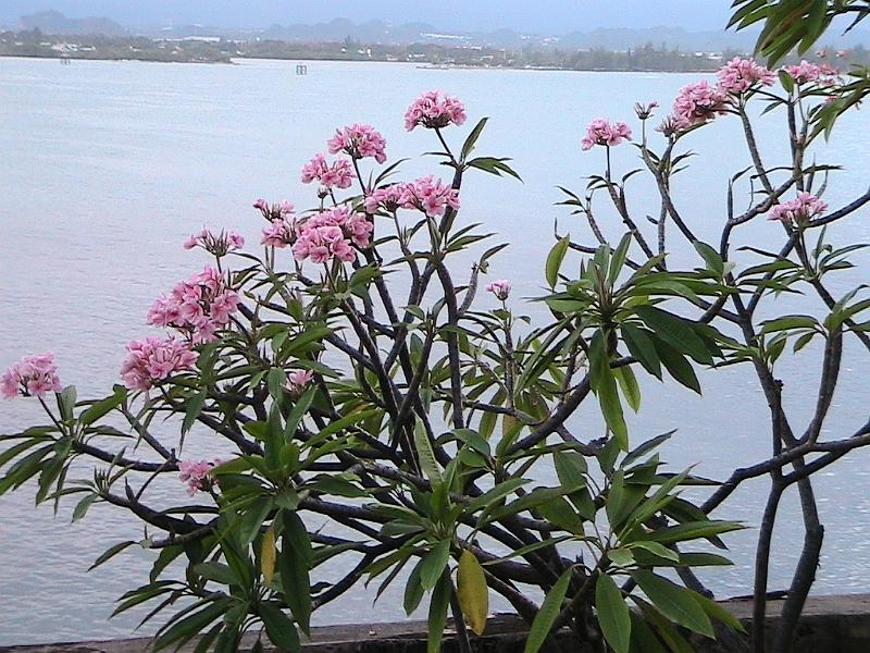 IMG_0608.jpg - San Juan