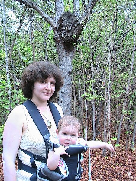 IMG_0613.jpg - Guanica dry forest