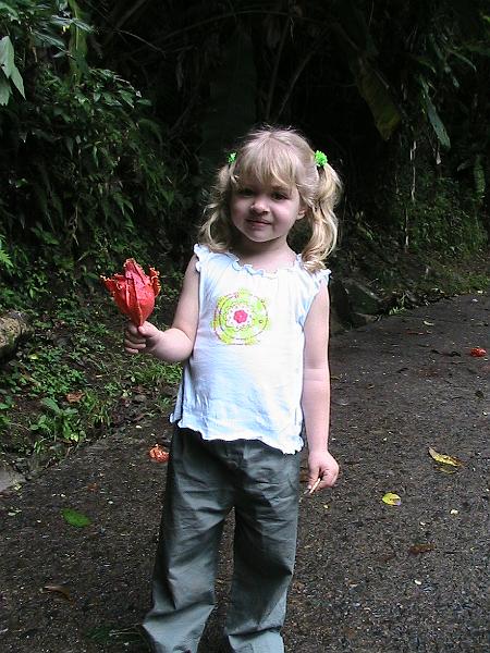 IMG_0648.jpg - El Yunque