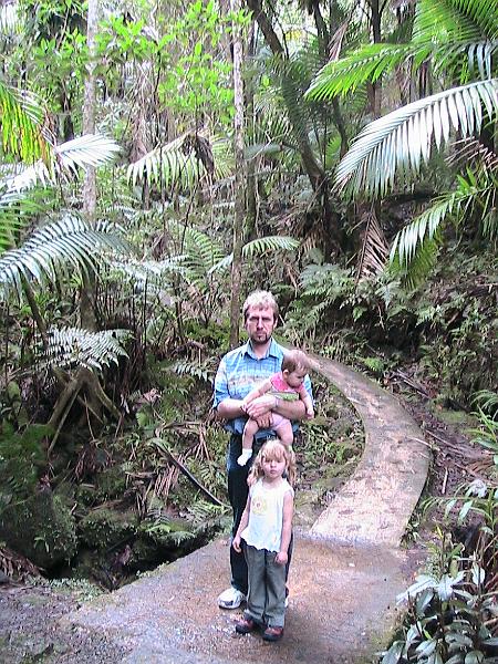 IMG_0668.jpg - Trail El Yunque