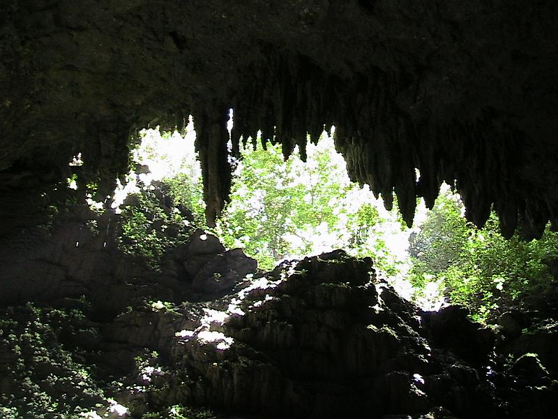 IMG_0720.jpg - The Rio Camuy Caves