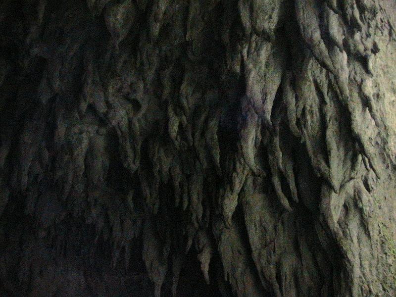 IMG_0729.jpg - Stalactites in the cave