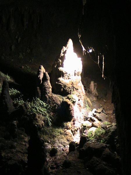 IMG_0744.jpg - The Rio Camuy Caves