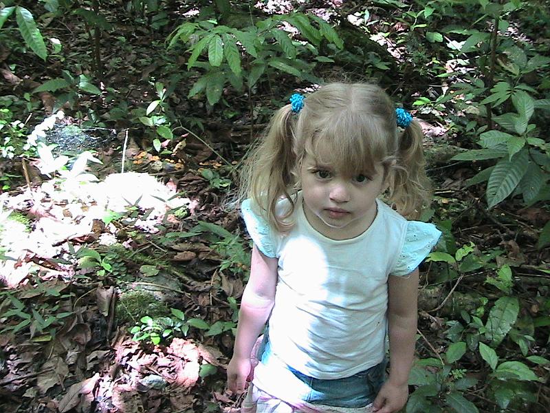 IMG_0787.jpg - Forest near Ciales