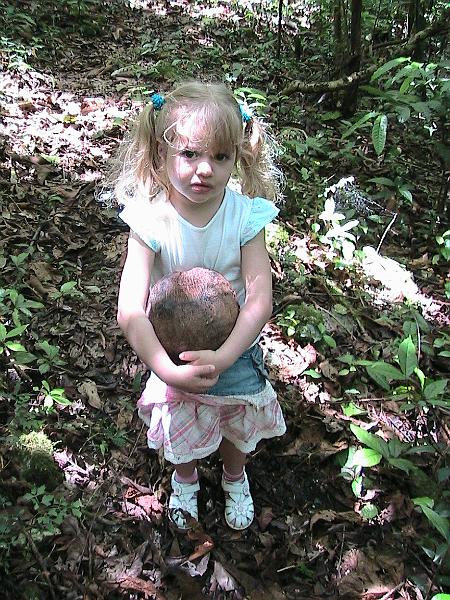 IMG_0796.jpg - We found coconut!