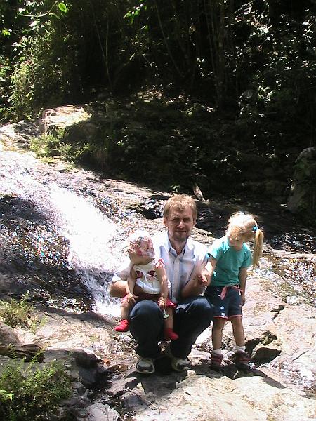 IMG_0838.jpg - Toro Negro Forest