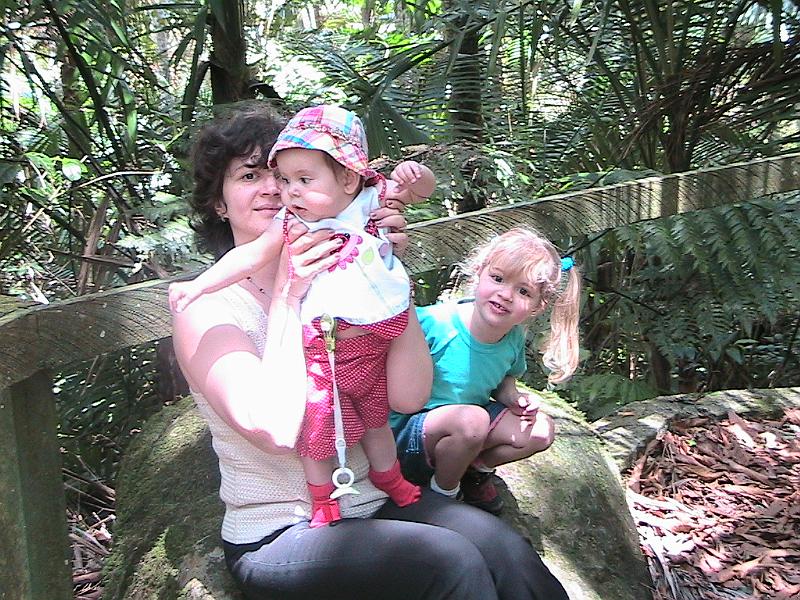 IMG_0852.jpg - Toro Negro Forest