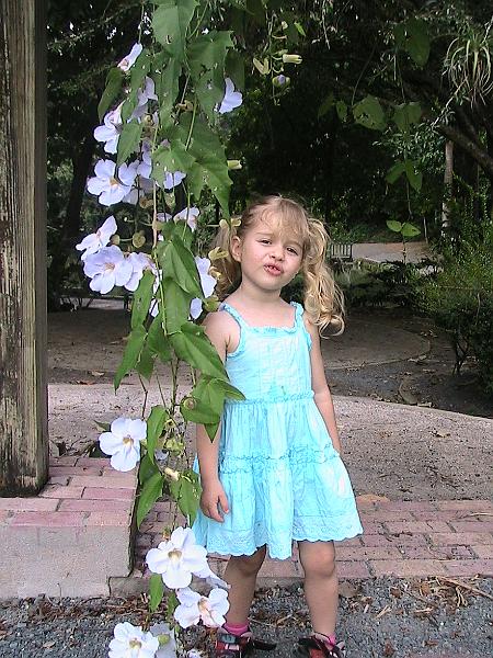 IMG_0908.jpg - Botanical garden in San Jose