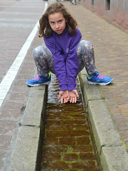 schwarz005.jpg - Baechle in Freiburg