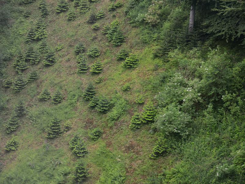 schwarz051.jpg - Schauinsland cable car