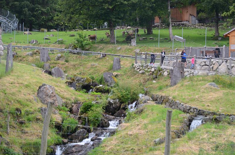 schwarz056.jpg - Steinwasen park