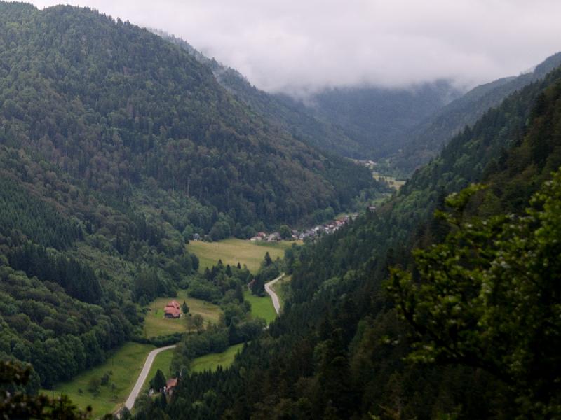 schwarz059.jpg - From the hill in Steinwasen park