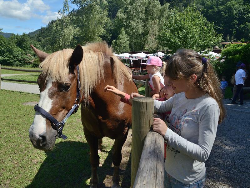 schwarz117.jpg - Black Forest Open Air Museum (Vogtsbauernhof)
