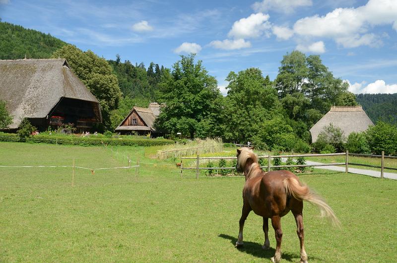 schwarz118.jpg - Black Forest Open Air Museum (Vogtsbauernhof)