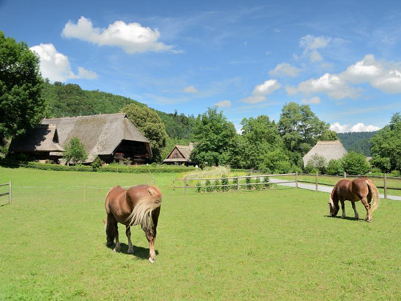 schwarz119.jpg - Black Forest Open Air Museum (Vogtsbauernhof)